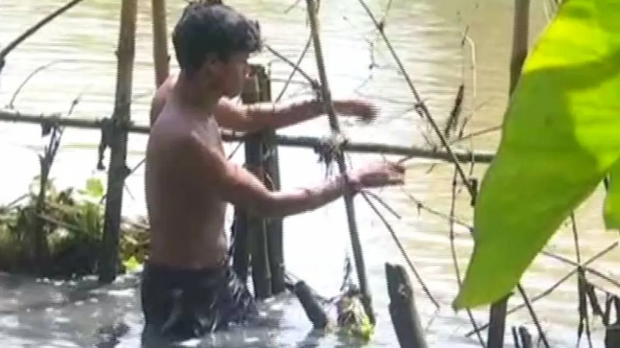 କୁମ୍ଭୀରଠୁ ବଞ୍ଚିବା ପାଇଁ ନୂଆ ପ୍ରସ୍ତୁତି;  ତିଆରି ହେଲା ବାଉଁଶ ବାଡ଼