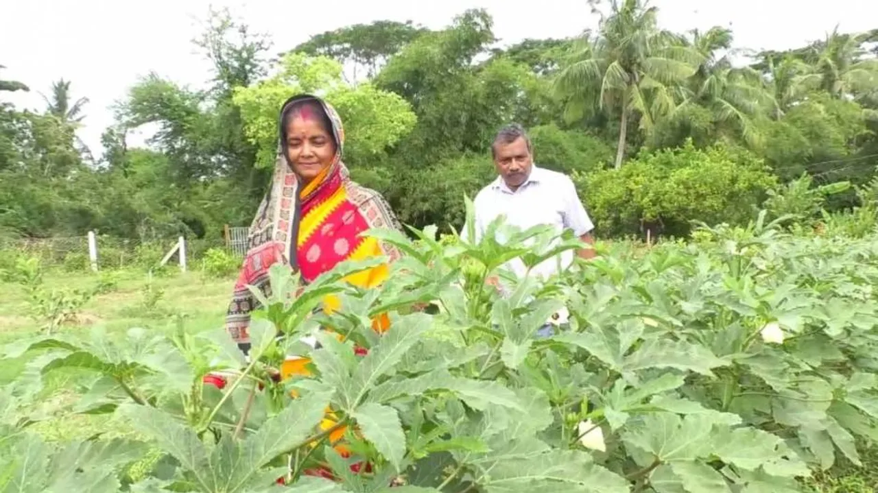 ଲକଡାଉନ୍ ସମୟର ସଦୁପଯୋଗ : ଭଳିକି ଭଳି ଫଳ ଓ ପନିପରିବାରେ ହସୁଛି ରାଜେନ୍ଦ୍ରଙ୍କ ବଗିଚା
