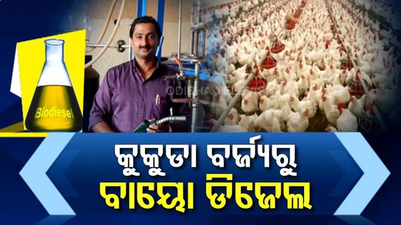 ବାହାରିଲା ପେଟ୍ରୋଲ, ଡିଜେଲର ବିକଳ୍ପ; କୁକୁଡ଼ା ବର୍ଜ୍ୟରୁ ପ୍ରସ୍ତୁତ ହେଲା ବାୟୋ ଡିଜେଲ