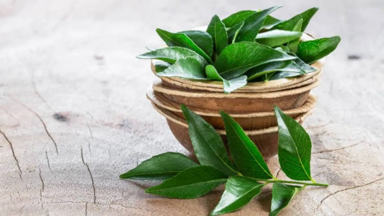curry leaves