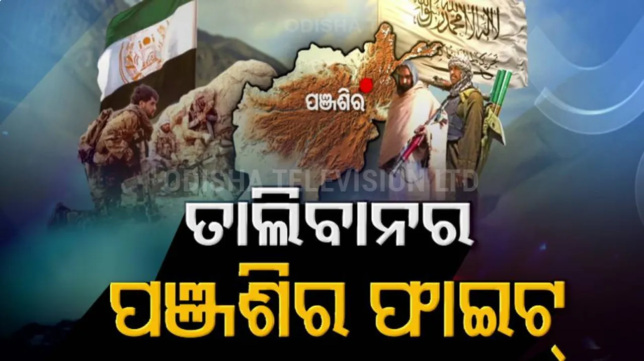 Nearly 300 Taliban killed