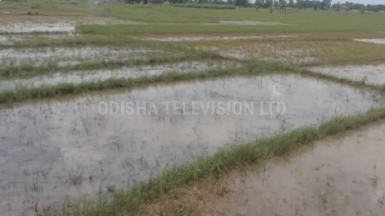 JAJPUR FARMER