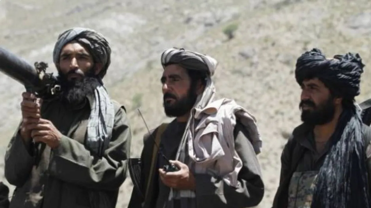 Taliban militants