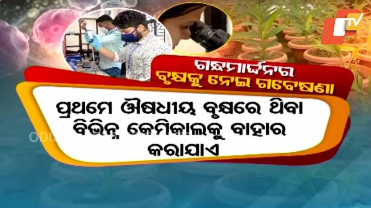 Researches In Search Of Wonder Herbs On Gandhamardan