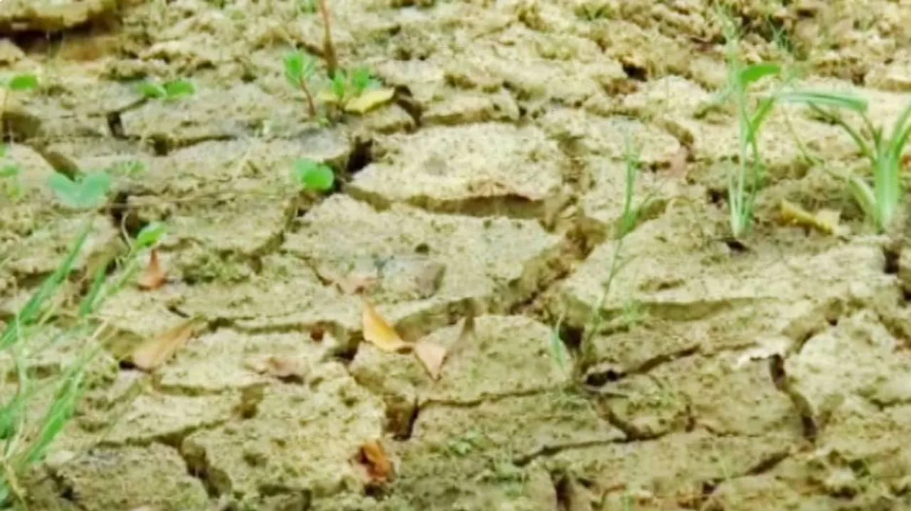Drought Fear In Dhenkanal