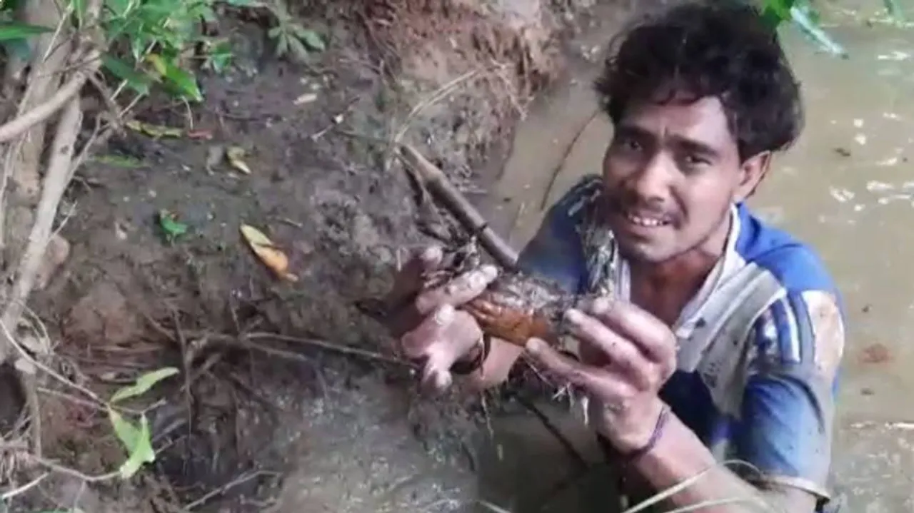 Crab in Canal Competition 