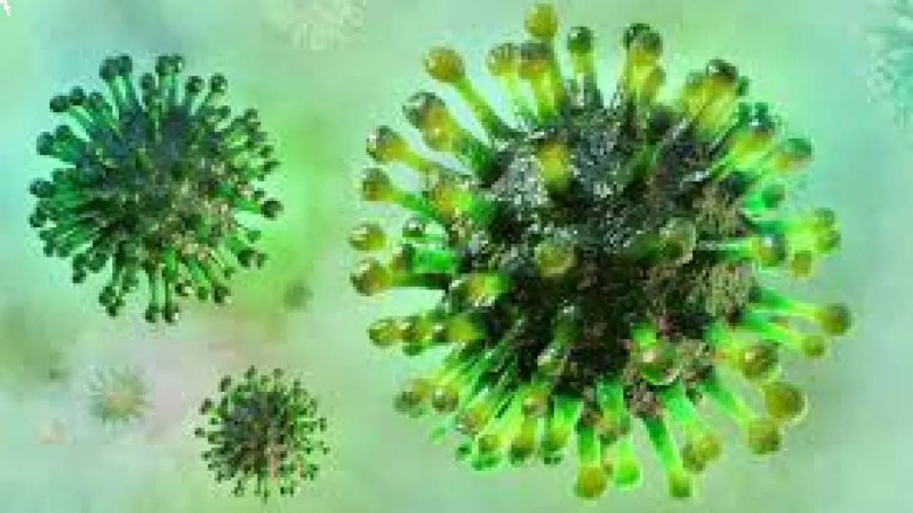 Coronavirus
