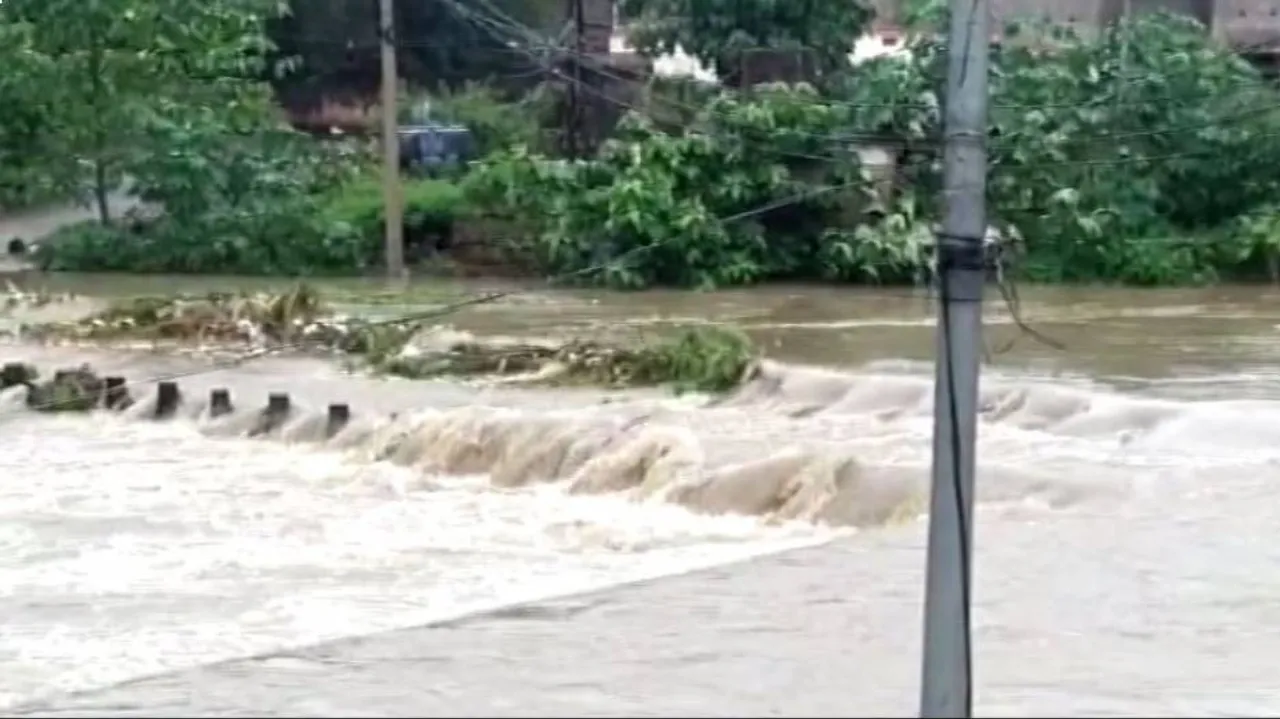 Rain In Odisha 
