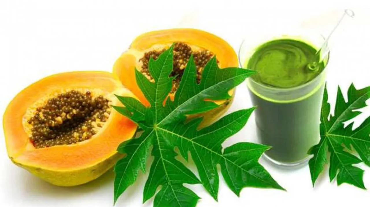 benefits of papaya leaves