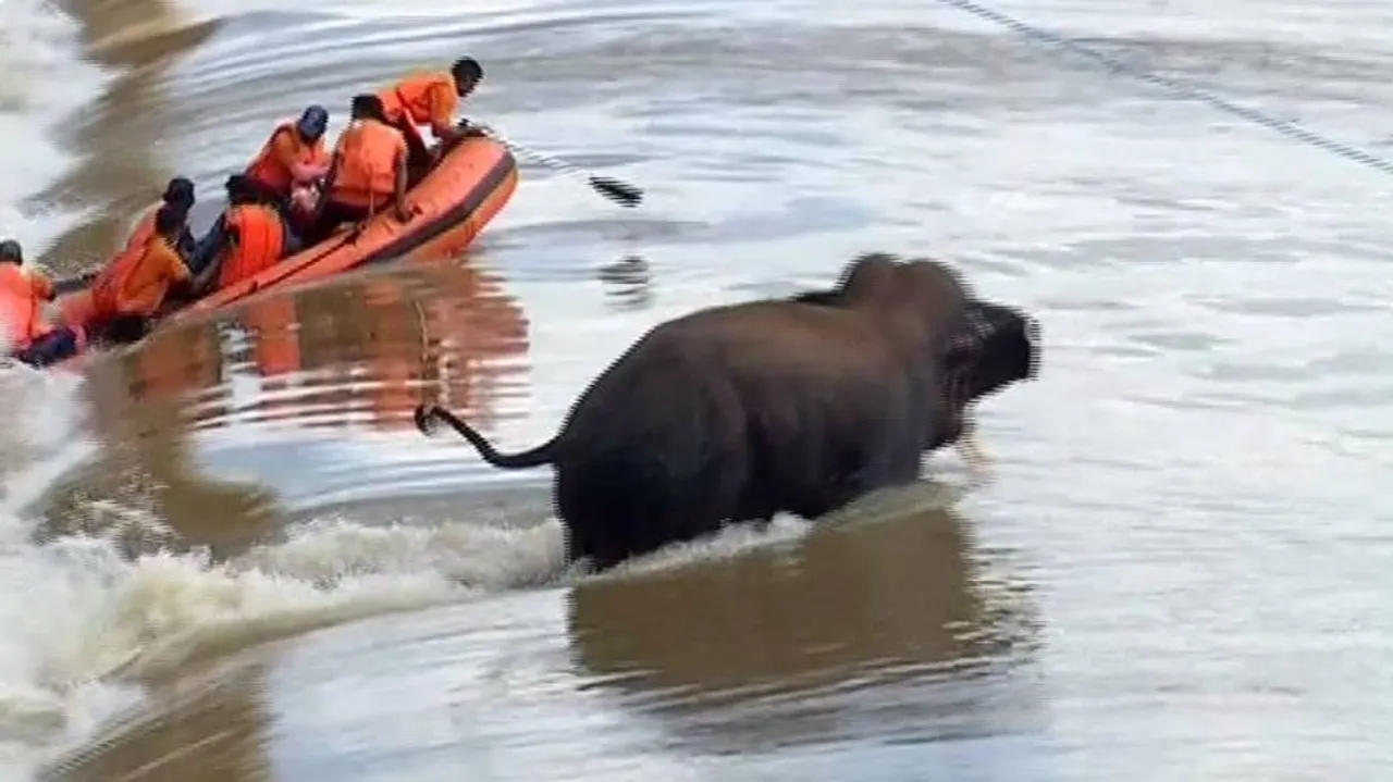 ODRAF Boat Capsizes In Mahanadi