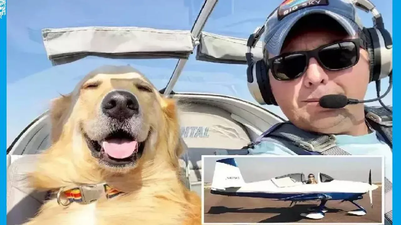 Aircraft modified for pet dog