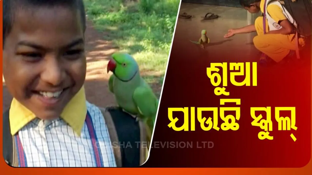 Unique Friendship Between Parrot And Students