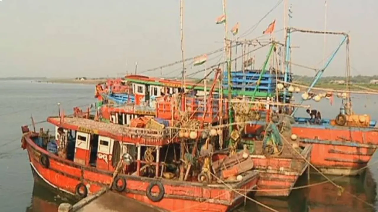 marine fish business 