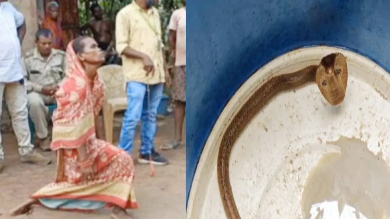  ଡ୍ରମ ଭିତରେ ଥିବା ସାପ 