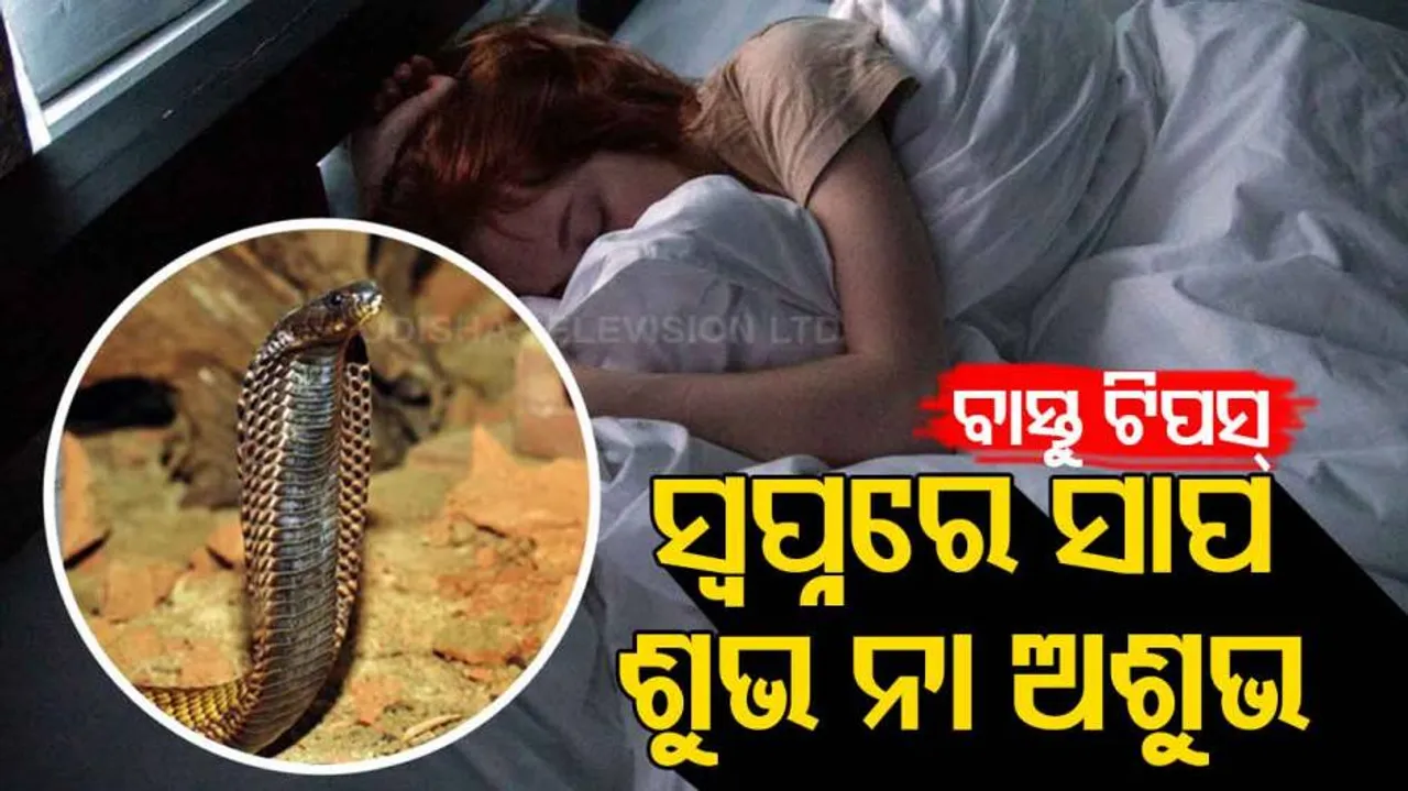 Snake Dream and Vastu