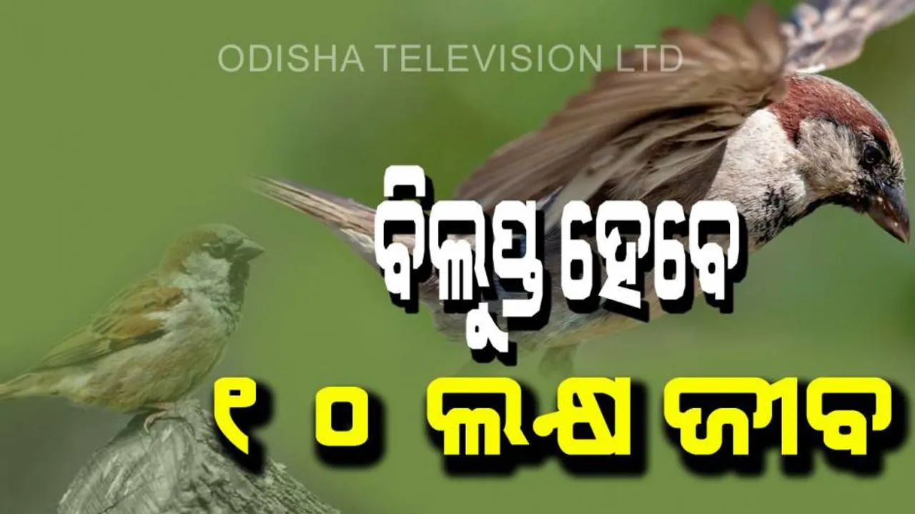 10 lakh species will extinct on earth in this century