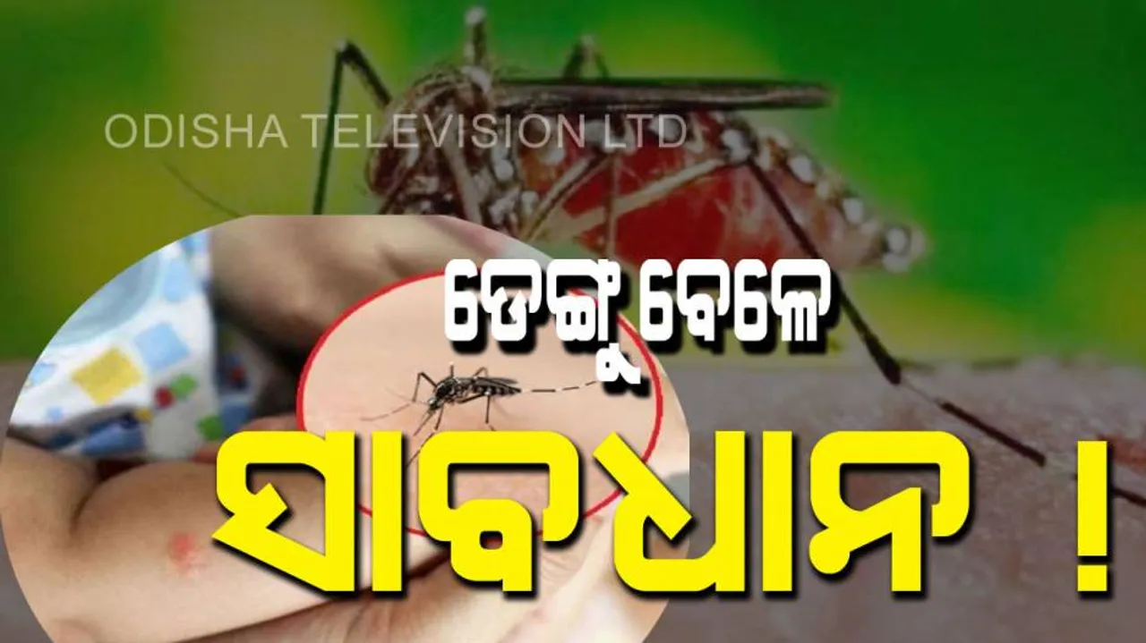 Dengue alert do not take painkillers