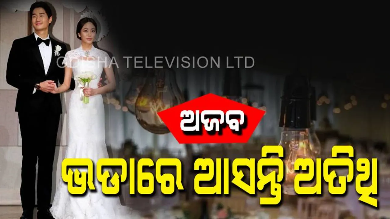 Fake guests are invited in wedding