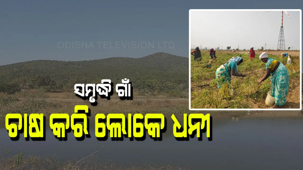 In this village everyone does farming