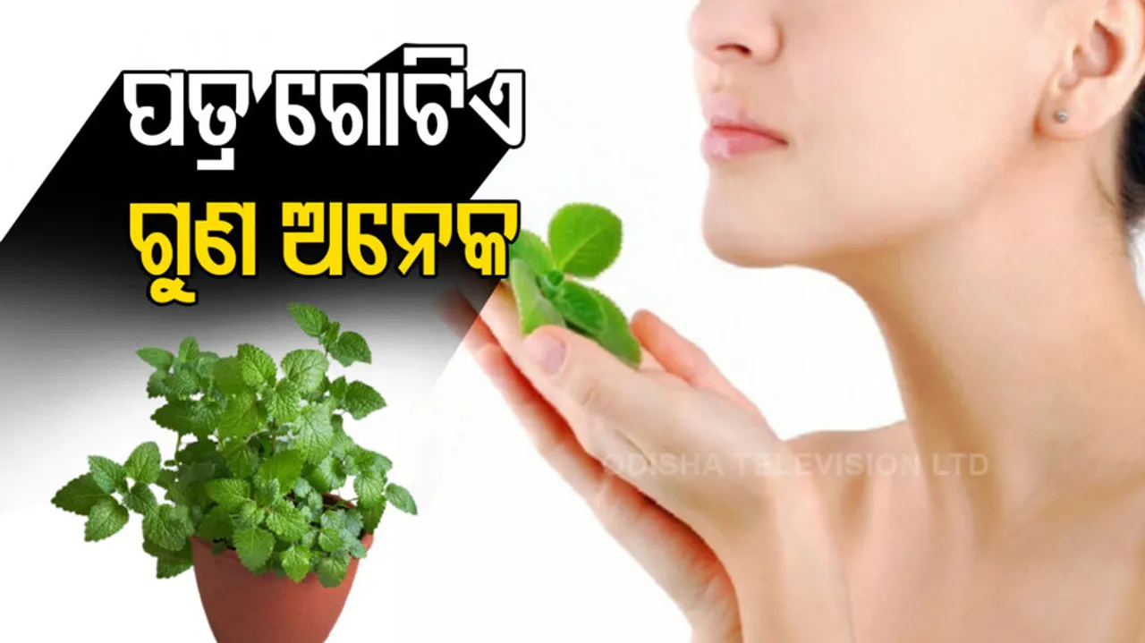 Mint leaves for skin