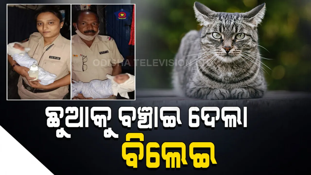 Mumbai Police Rescue Newborn From Drain After Cats Alert Residents