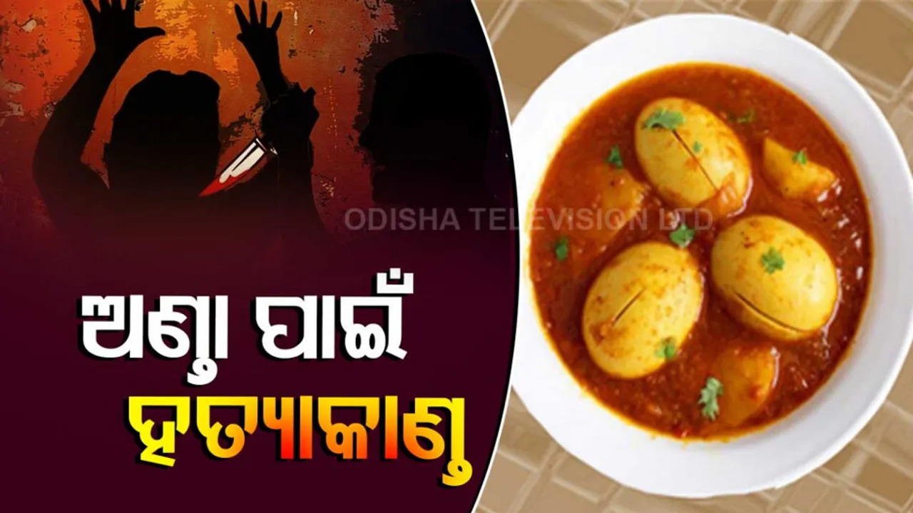 son killed mom After She Refuses To Cook Egg Curry