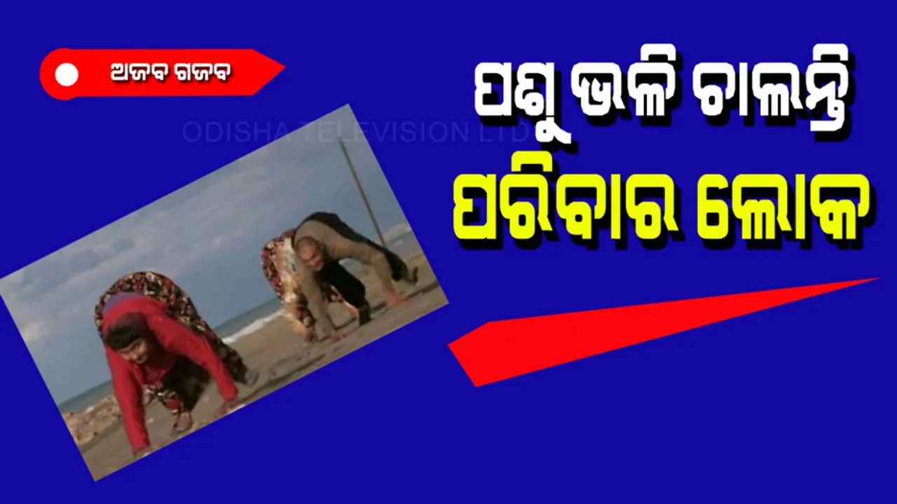 Family walk like animals using hand and legs