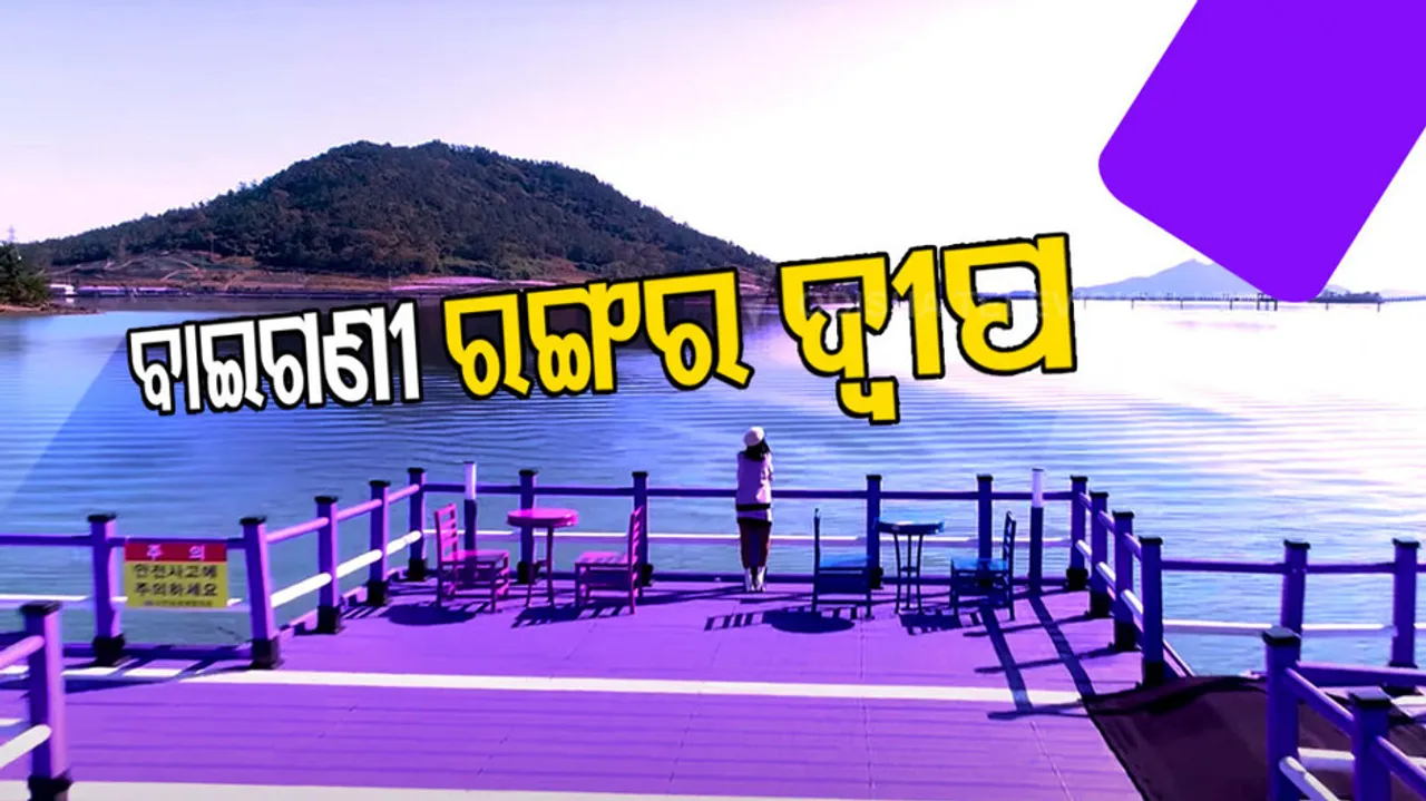 PURPLE ISLAND, SOUTH KOREA