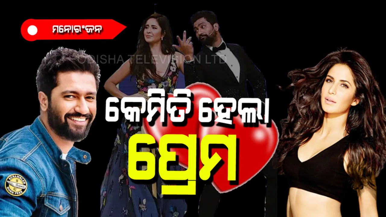 Vicky Kaushal and Katrina Kaif love story