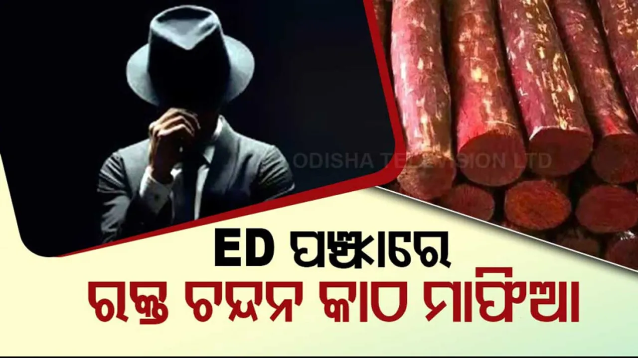 ED Sandal wood Mafia