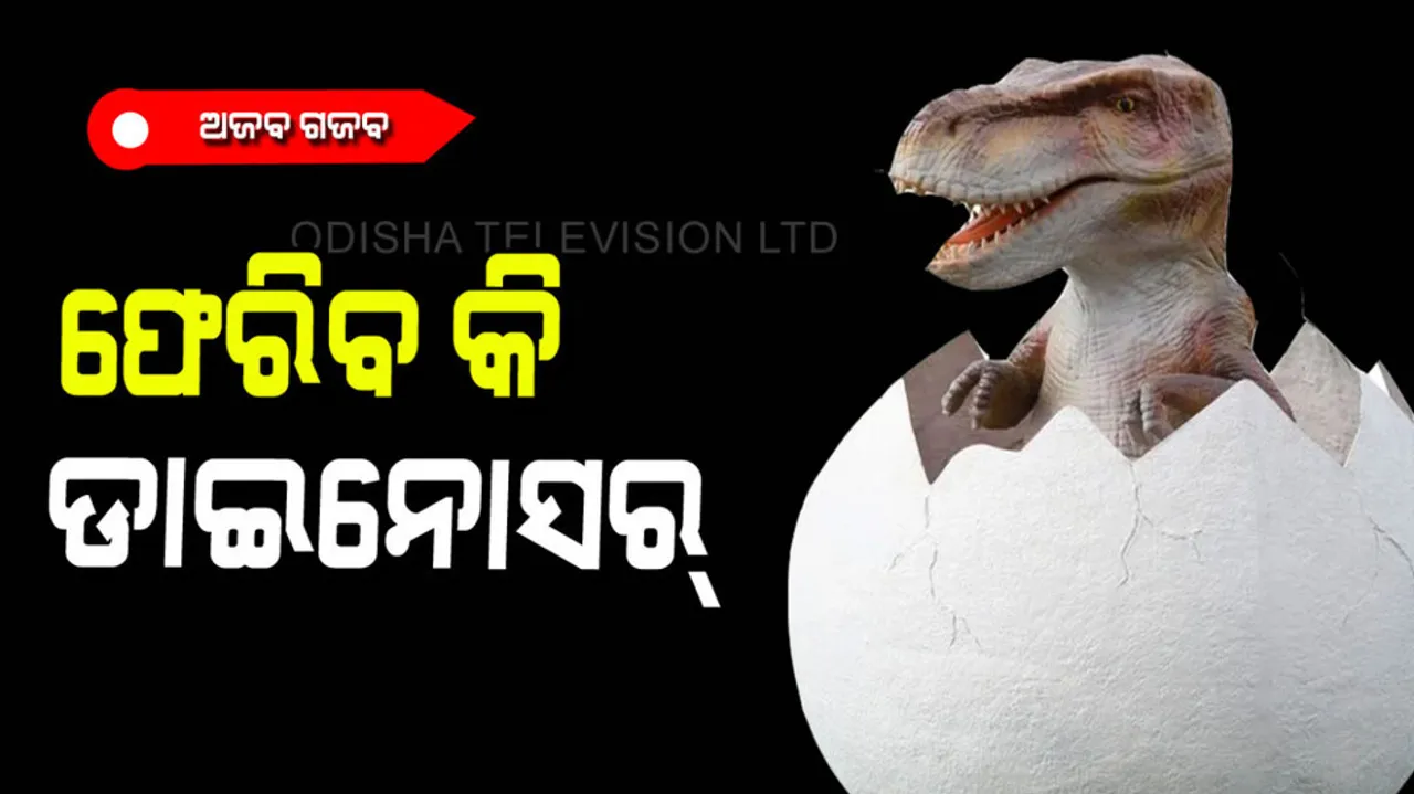 Preserved rare baby dinosaur egg discovered