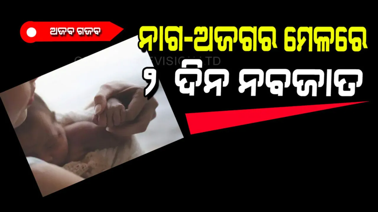 Newborn baby is found alive after 2 days in forest