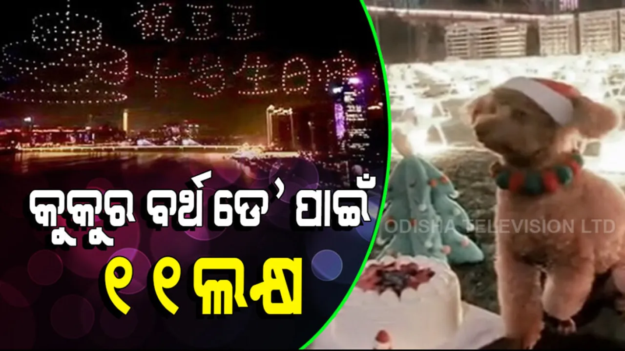 Viral news woman spends 11 lakh rupees for her dog birthday celebration