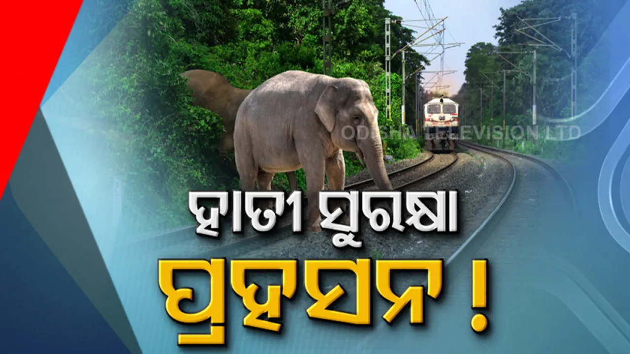 Elephant death tension