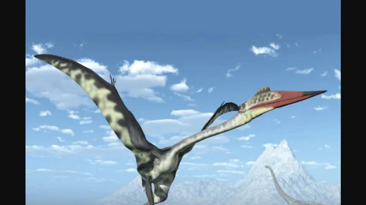 largest-flying-animal