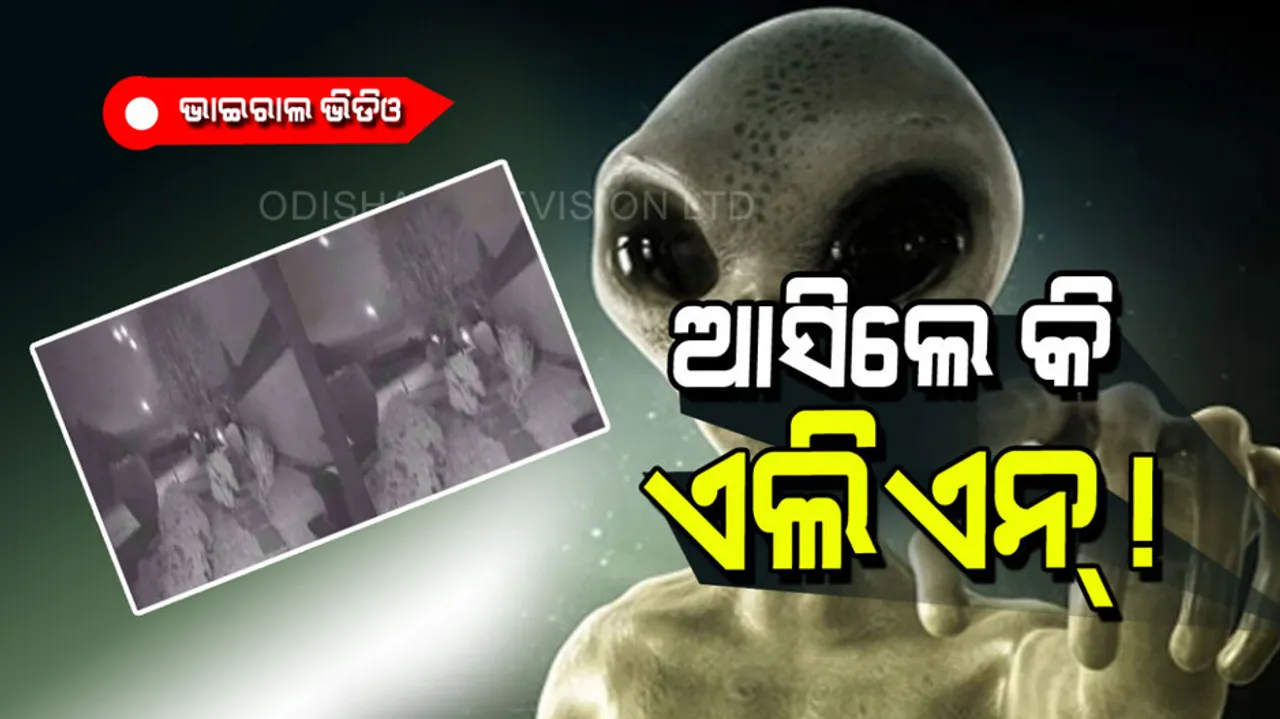 Aliens visited to earth on new year night