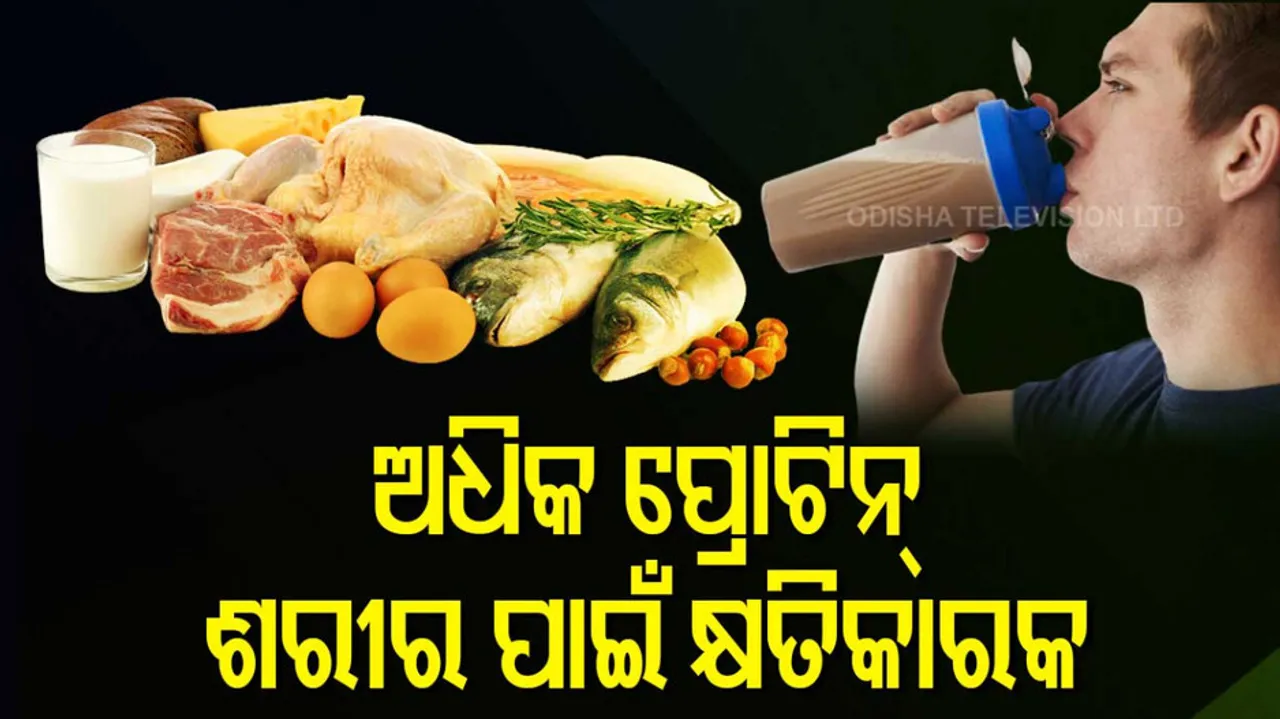 Excess protein is harmful to the body