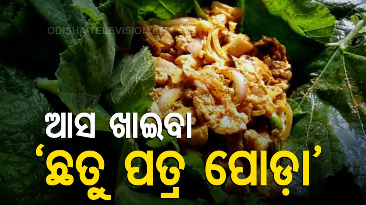 delicious recipe 'chhatu patra poda'