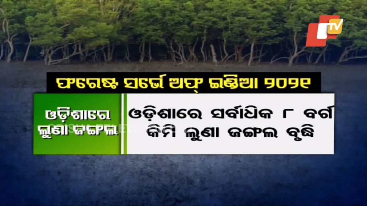 Mangrove Cover Increased In Odisha:Survey