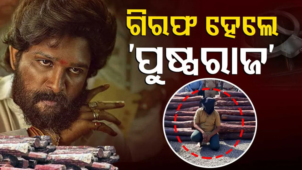 Man Tries To Smuggle Red Sandalwood Arrested