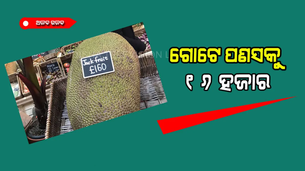 Jackfruit is being sold in for 16 thousand rupees 