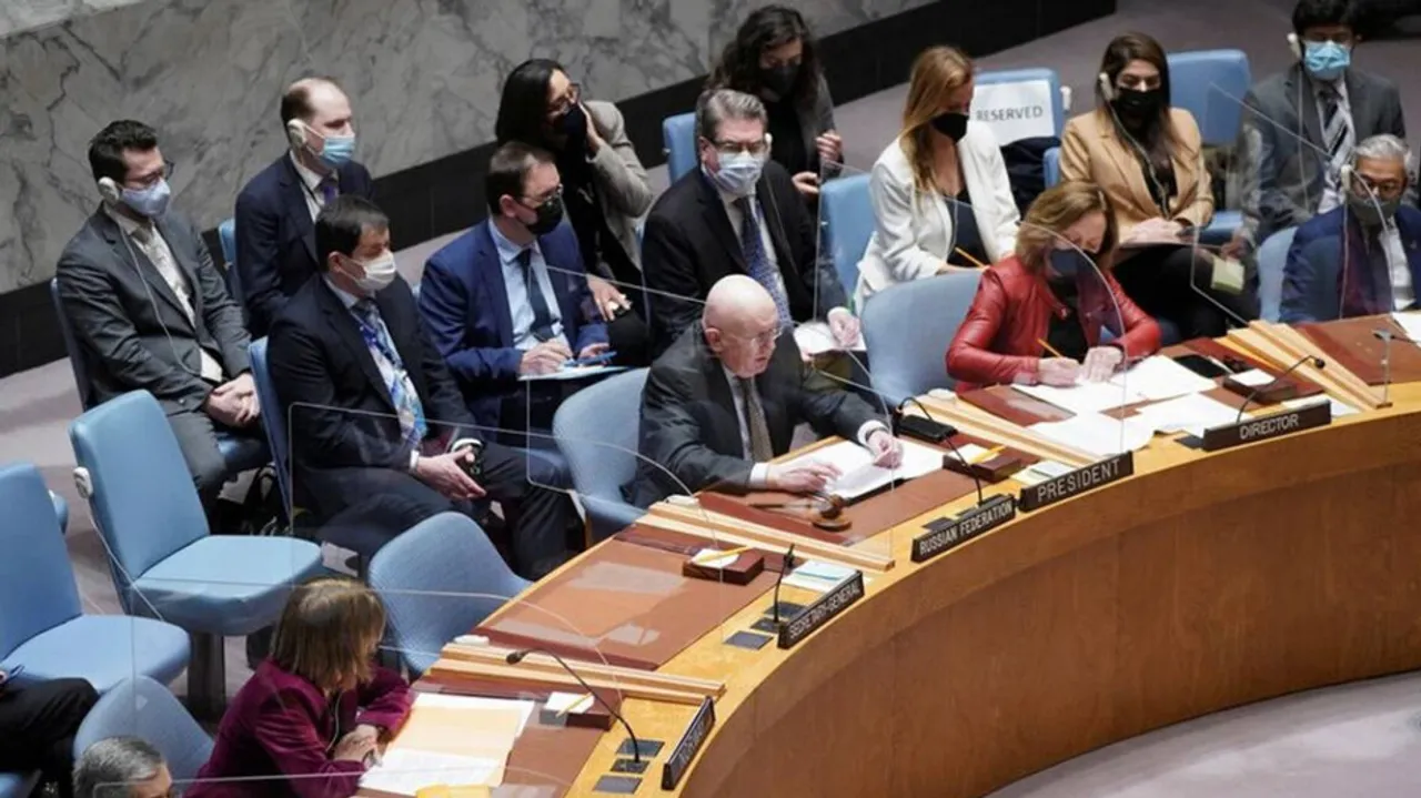 U.N. Security Council 