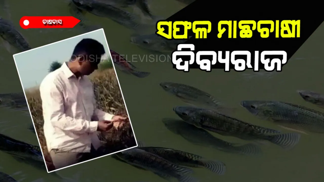 Fish farming in bio flucks techniqe