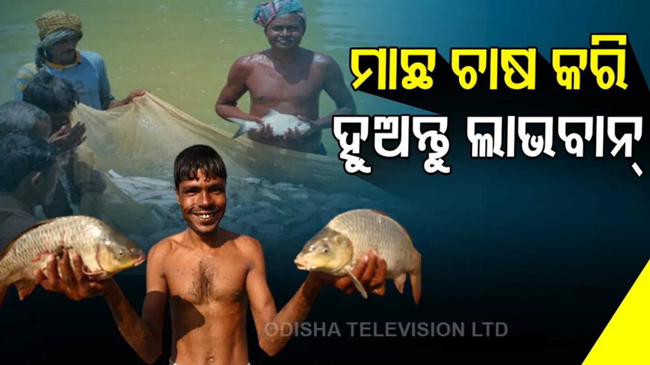 It is beneficial to cultivate fish at a very low cost