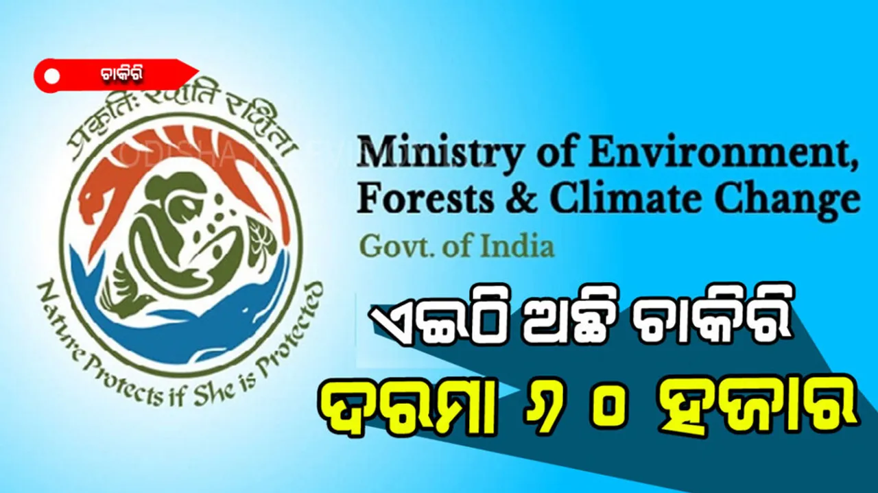 Ministry Jobs: Vacancies Announced For Consultants