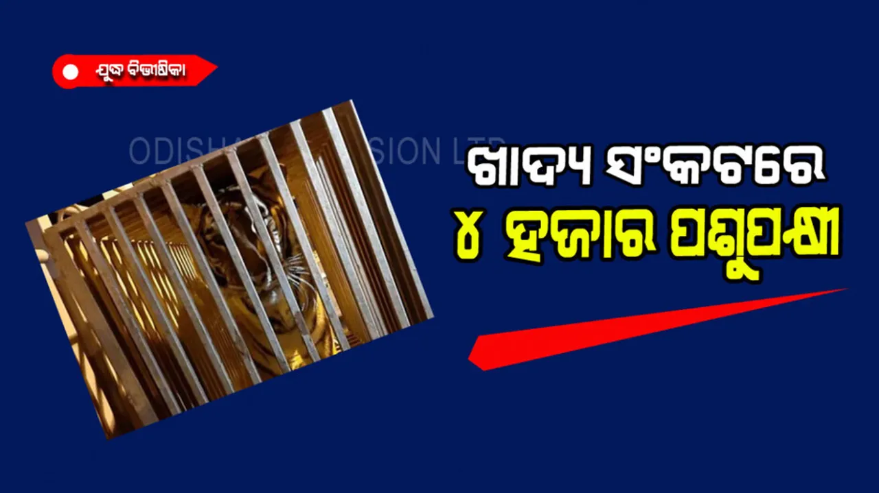 Zoo animals forced to face starvation