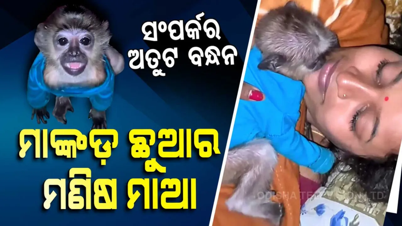 Fascinating Relationship With Human