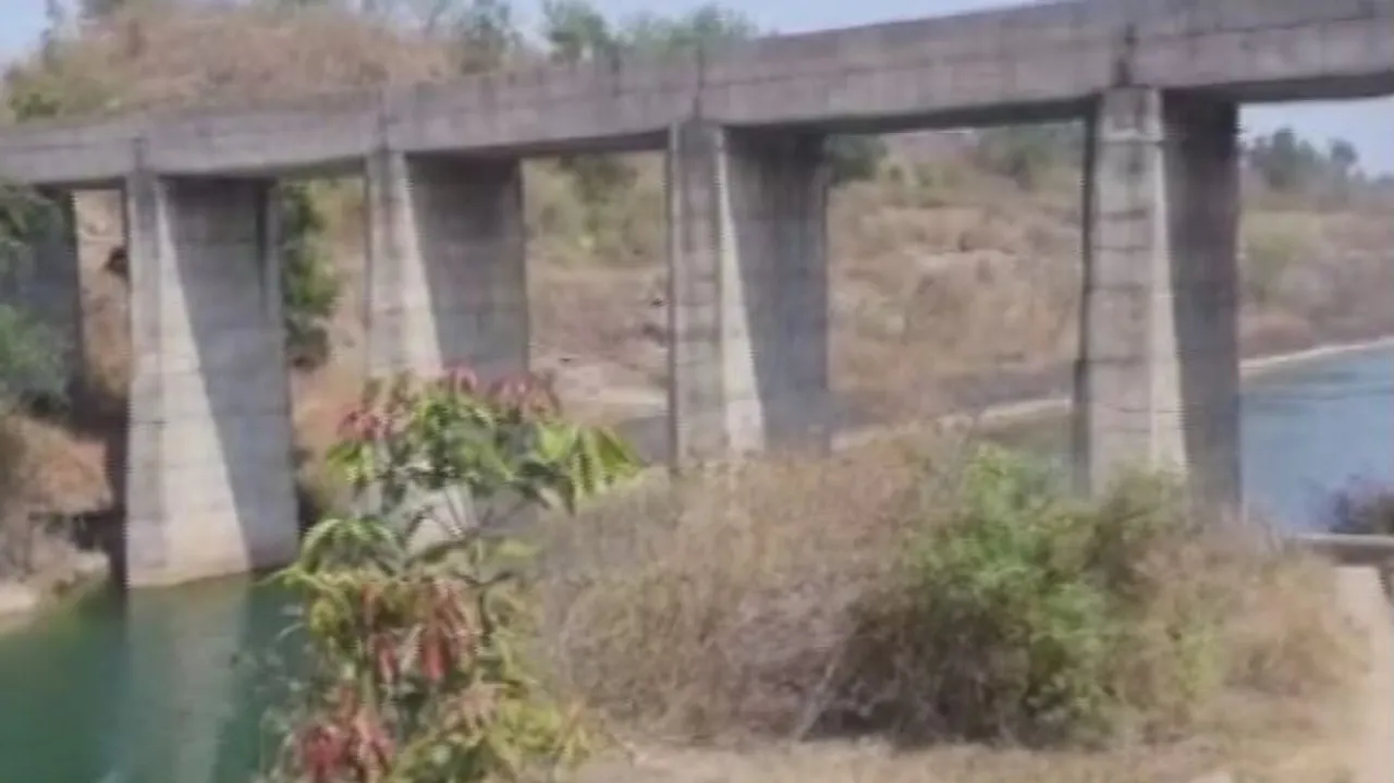 Billions of dollars in assets were allegedly looted