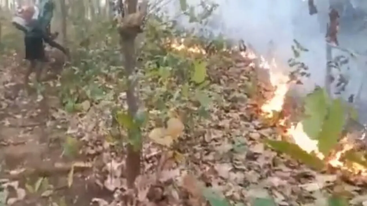 Simlipal Tiger Reserve