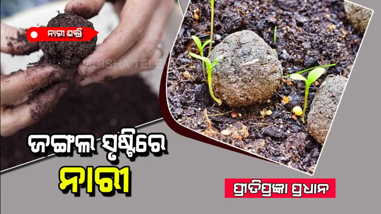 Women in the work of foresting